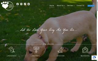 Love Your Dog website