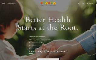 Hudson Valley Integrative Health LLC website