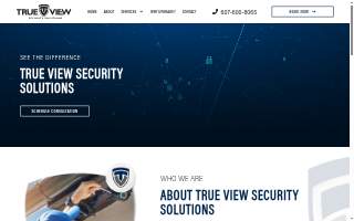 True View Security Solutions of Endicott website
