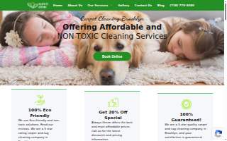 Always Green Carpet Cleaner of Brooklyn website