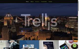 Trellis Marketing, Inc. website