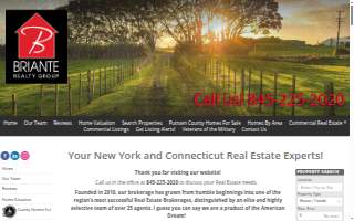 Ann Marie D'Onofrio Real Estate Salesperson at Briante Realty Group website