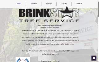 BrinkStar Tree Service website
