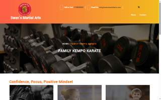 Swan's Martial Arts Academy website