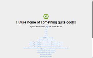 Selective Staffing Solutions of Clarence website