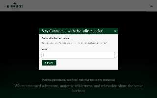 Adirondack Family Foot Care website