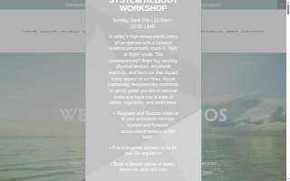 WellNest Studios- Fitness & Wellness LLC website