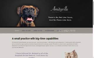 Amityville Animal Hospital of Copiague website