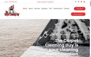 The Carpet Cleaning Guy website