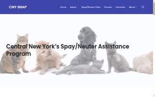 CNY SNAP website