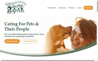 Groton City Animal Hospital website
