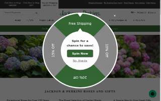 Roses Day Care website