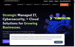 CompassMSP website