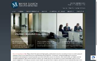 Mayer Search LLC website