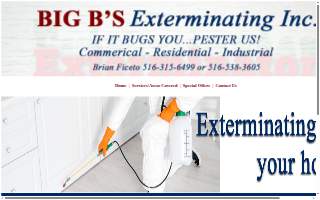 Big B's Exterminating Inc website