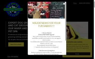 Playful Pet Place of East Meadow website