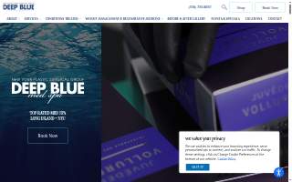 Deep Blue Med Spa of East Northport website