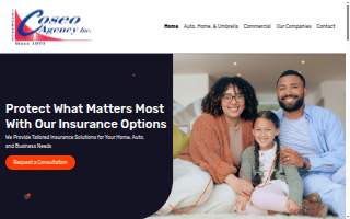 Coseo Agency website
