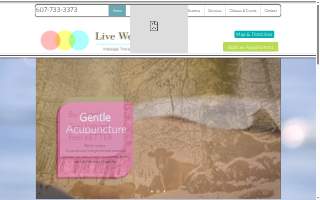 Live Well Upstate: Acupuncture and Natural Medicine website