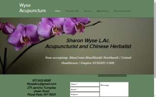 Wyse Acupuncture of Elmont website