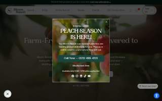 Orchard Beauty & Wellness website