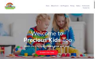 Precious Kids website