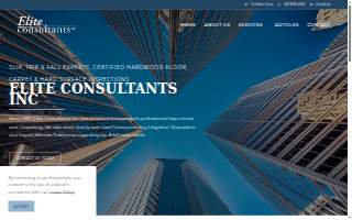 Elite Business Consultants Inc website
