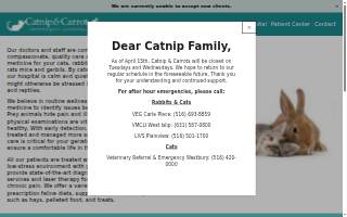 Catnip and Carrots Veterinary Hospital website