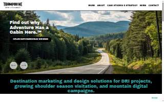 Trampoline Design website
