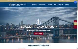 Esagoff Law Group, P.C. website