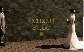 Goldcup Studio LLC website