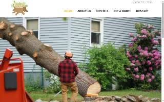 Long Island Tree Removals website