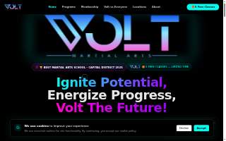 Volt Martial Arts website