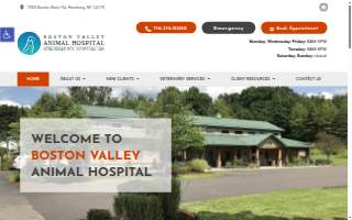 Boston Valley Animal Hospital website