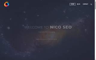 Nico SEO website