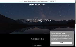 Imagymnasium website