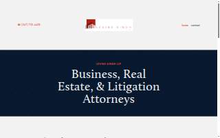 Levine Singh LLP website