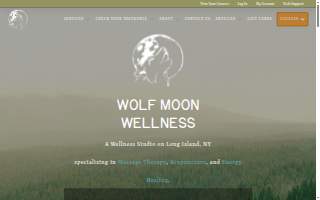 Wolf Moon Wellness website