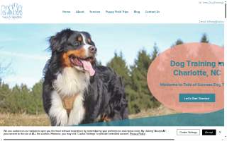 Tails of Success: Dog Daycare and Training website
