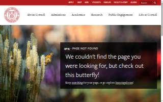 Cornell Dairy Bar website