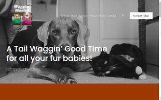 Waggin Master Boarding Kennel of Johnson City website