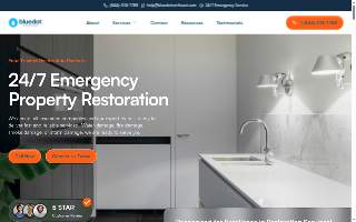 Blue Dot Restoration website