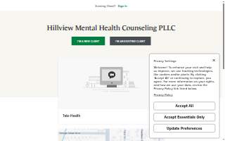 Hillview Mental Health Counseling PLLC - Lackawanna website