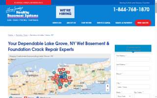 Healthy Basement Systems website