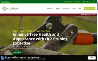 All Stars Tree Solutions of Manhasset website