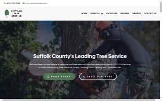 Above All Tree Service of Farmingville website