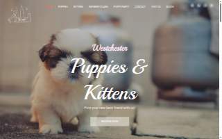 Westchester Puppies & Kittens of Mt. Vernon website
