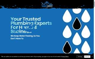 Aqua Bros Plumbing website