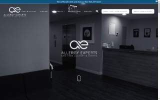 Allergy Experts website