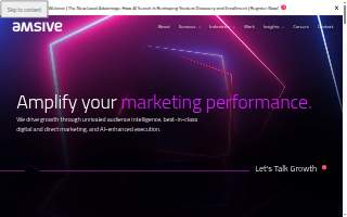 Amsive of New York website